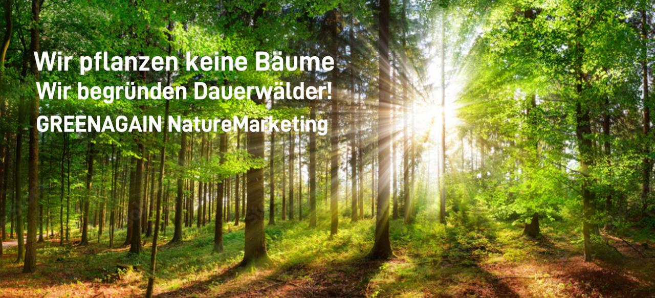 NatureMarketing_Wir-pflanzen-keine-Bäume-Wir-begründen_Dauerwälder